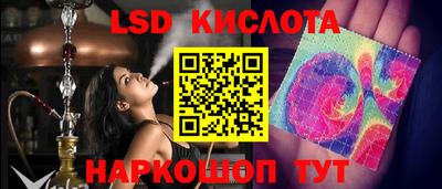 гидра Новозыбков
