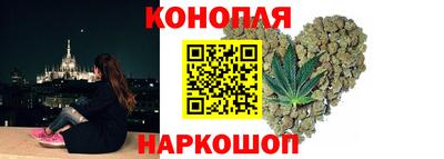 гидра Новозыбков