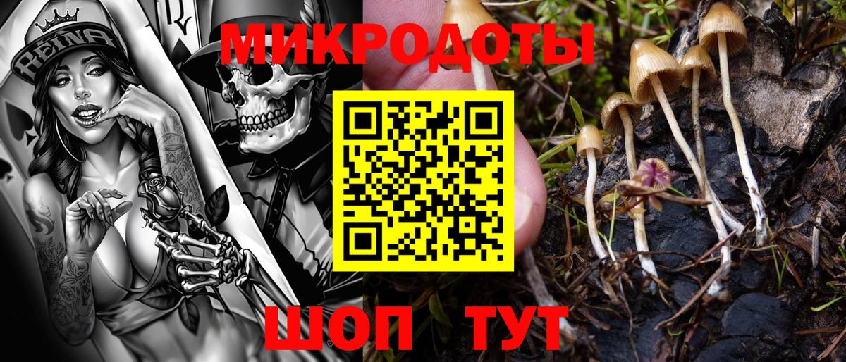 Галлюциногенные грибы Psilocybine cubensis  Псилоцибиновые грибы GOLDEN TEACHER  Вход с VPN  Ростов Великий 